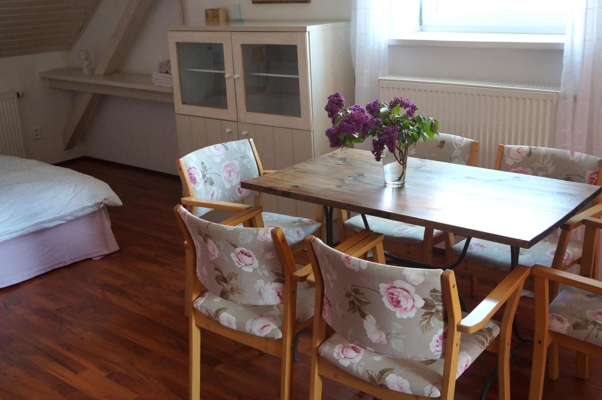 Apartmany Rudik Zelezna Ruda Room photo